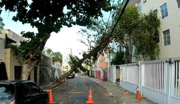 Temporal deixa desalojados, causa alagamentos e derruba árvores em Salvador e no interior da Bahia