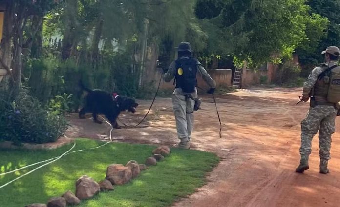 Veja imagens da 'caçada' a fugitivos de prisão federal em Mossoró (RN)