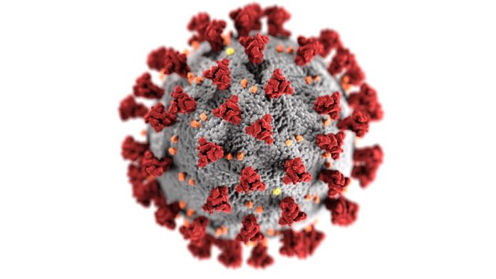 Norovirus