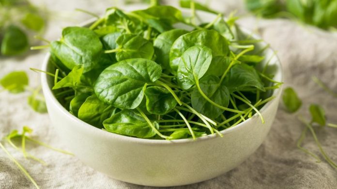 Agrião Superalimento