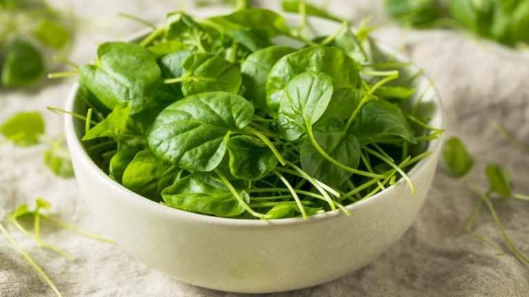 Agrião Superalimento