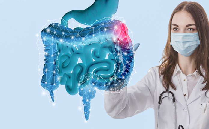 Prebiótico e Probiótico