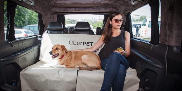 Uber pet em Salvador