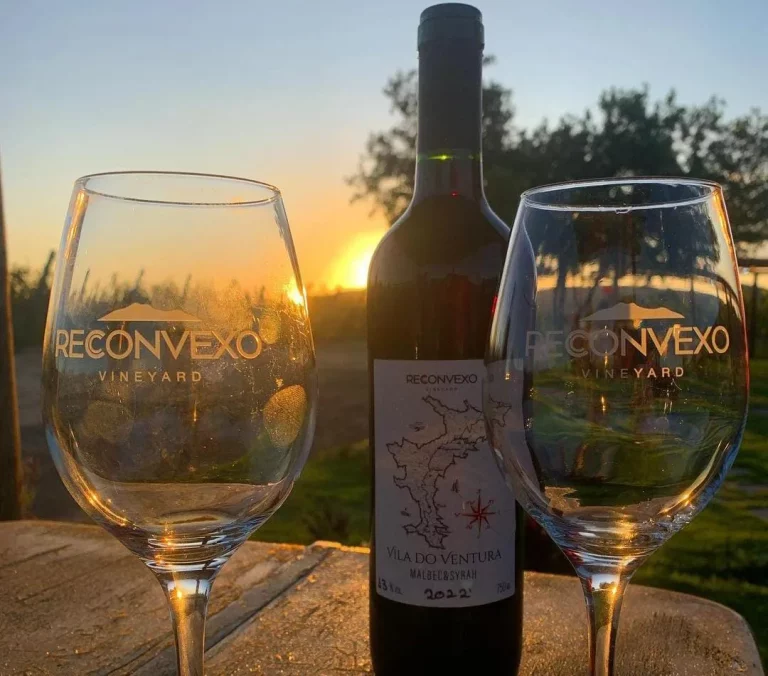 Vinhos de Morro do Chapéu conquistam prêmios no Wines of Brazil Awards 2024