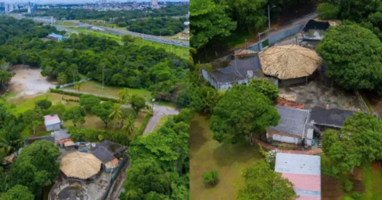 Inema autua ex-vereador por dano ambiental em Salvador