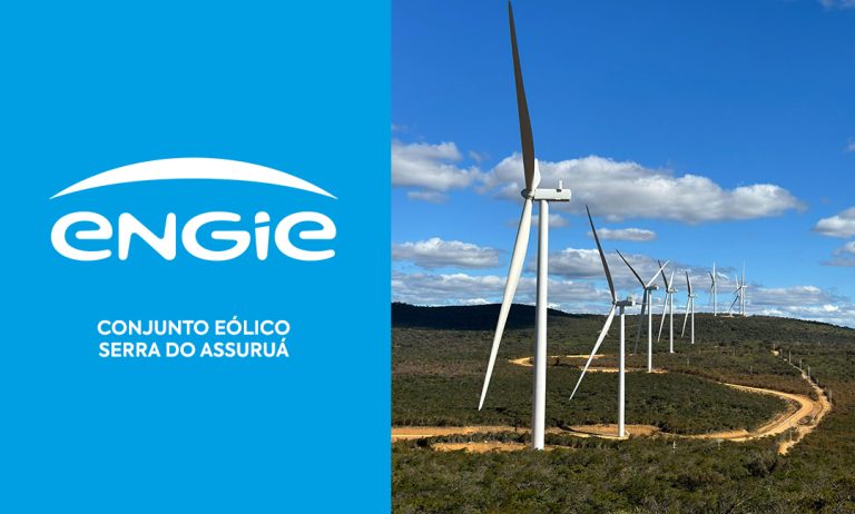 Conjunto Eólico Serra do Assuruá celebra Semana do Meio Ambiente com ações educativas