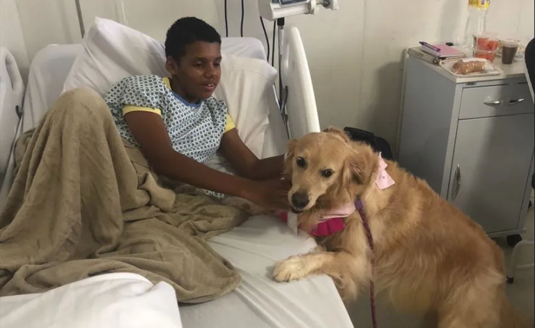 Hospital Ortopédico do Estado introduz terapia assistida por animais
