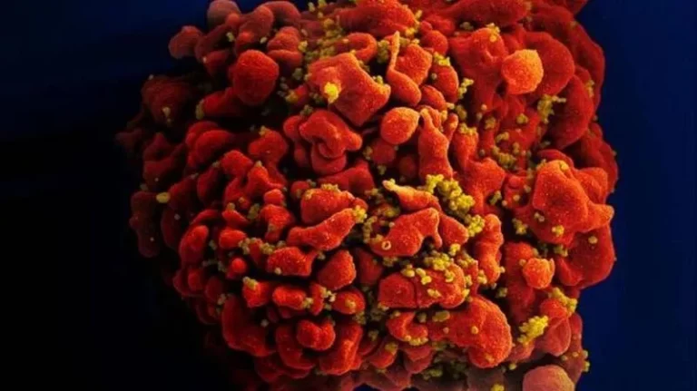Cientistas anunciam 7º paciente curado do HIV: entenda o caso