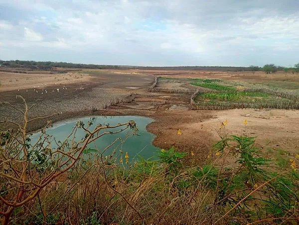 Prefeito de Miguel Calmon decreta situação de emergência devido à seca