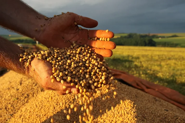 Tarifaço dos EUA ameaça economia da Bahia com perdas bilionárias e risco de desemprego