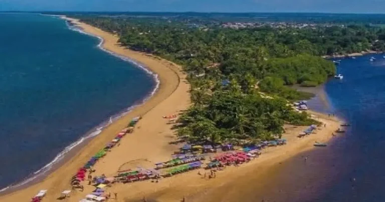 Porto Seguro terá taxa ambiental para veículos de fora a partir de junho; valor pode chegar a R$ 90